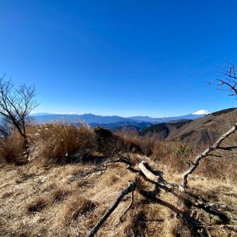 政次郎ノ頭山頂