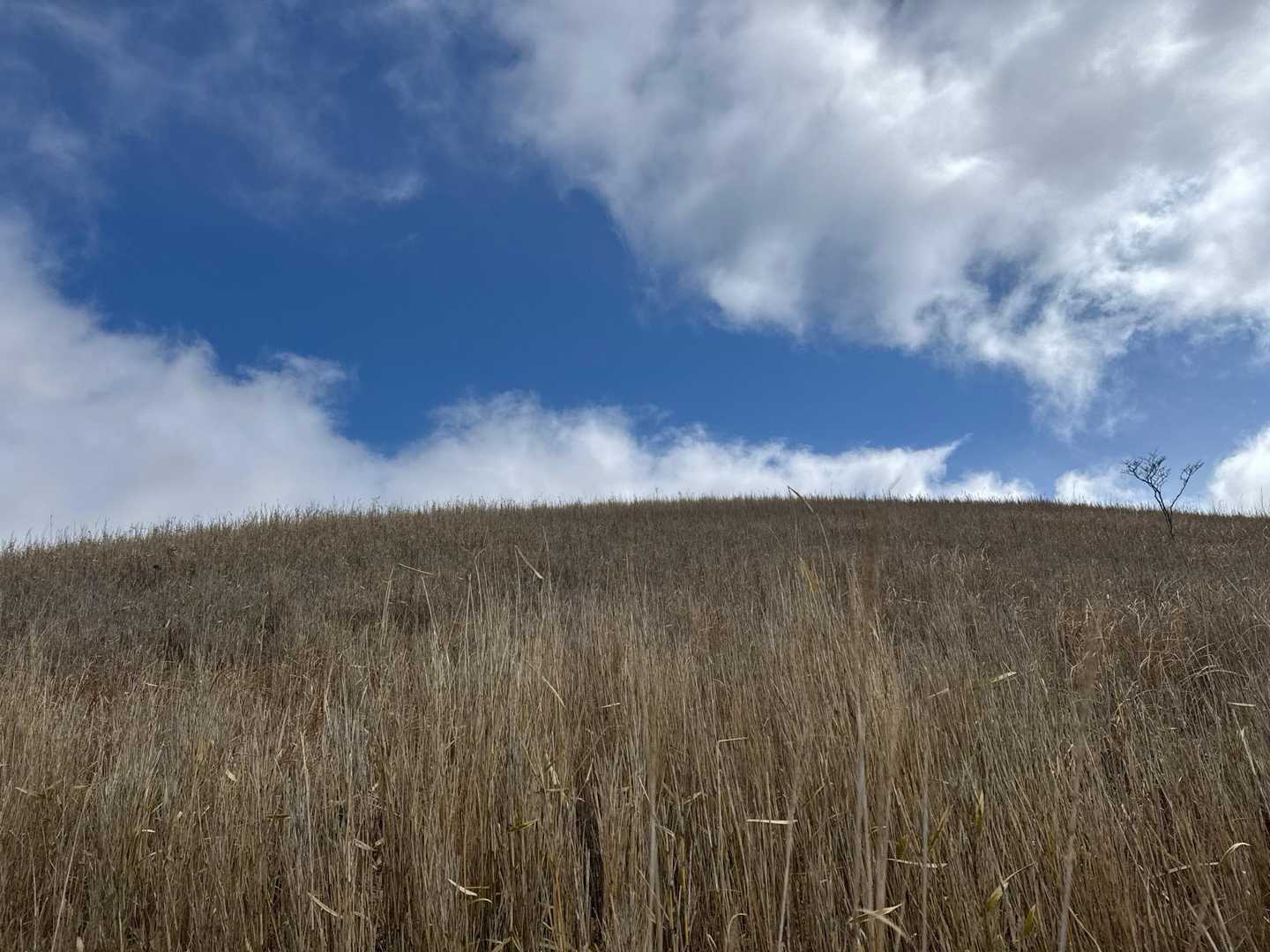 福万山-福万山登り口 周回コースの写真