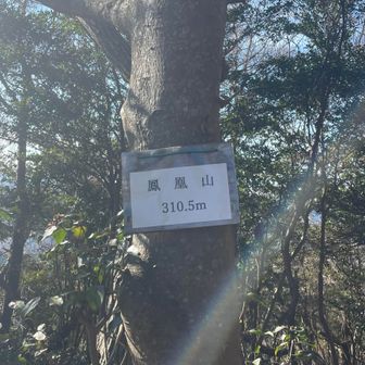 ８座目：鳳凰山🐦‍🔥