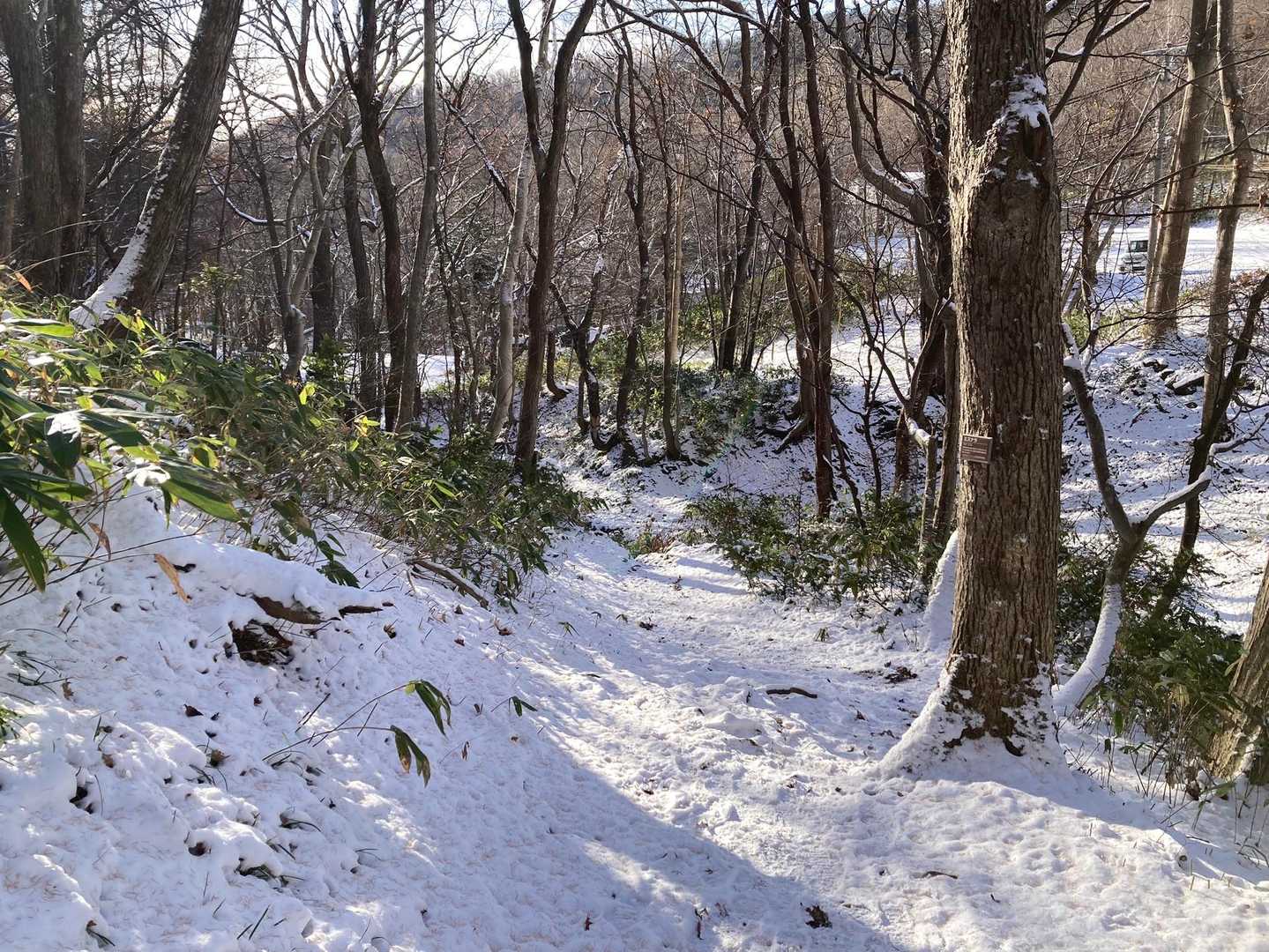 　　　　　下山しました。。。
　さてさて。。軌跡🥾は、、どうかな⁉️
　　　ありがとうございました😊　藻岩山さん。
　　
