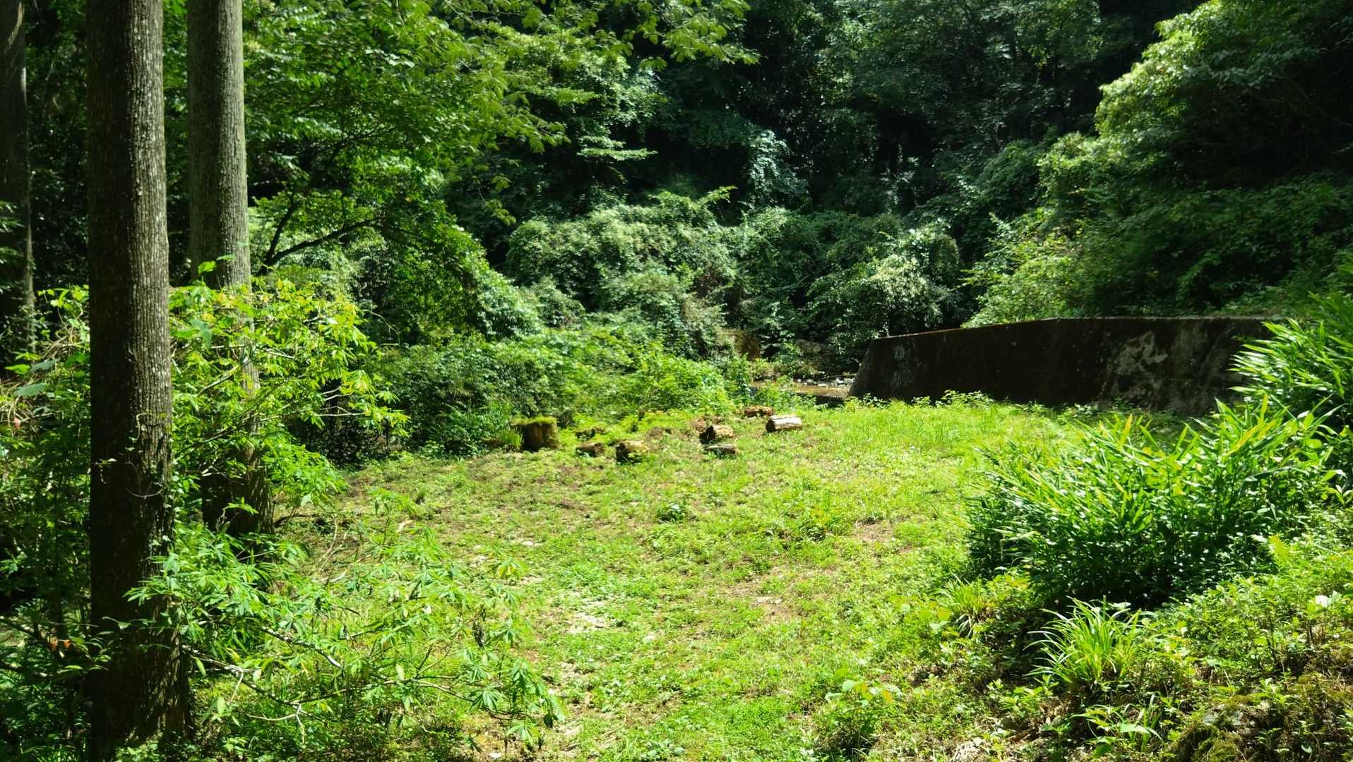 何かの広場

この辺りは以前ミツマタで訪れたよ〜
https://yamap.com/activities/16343399