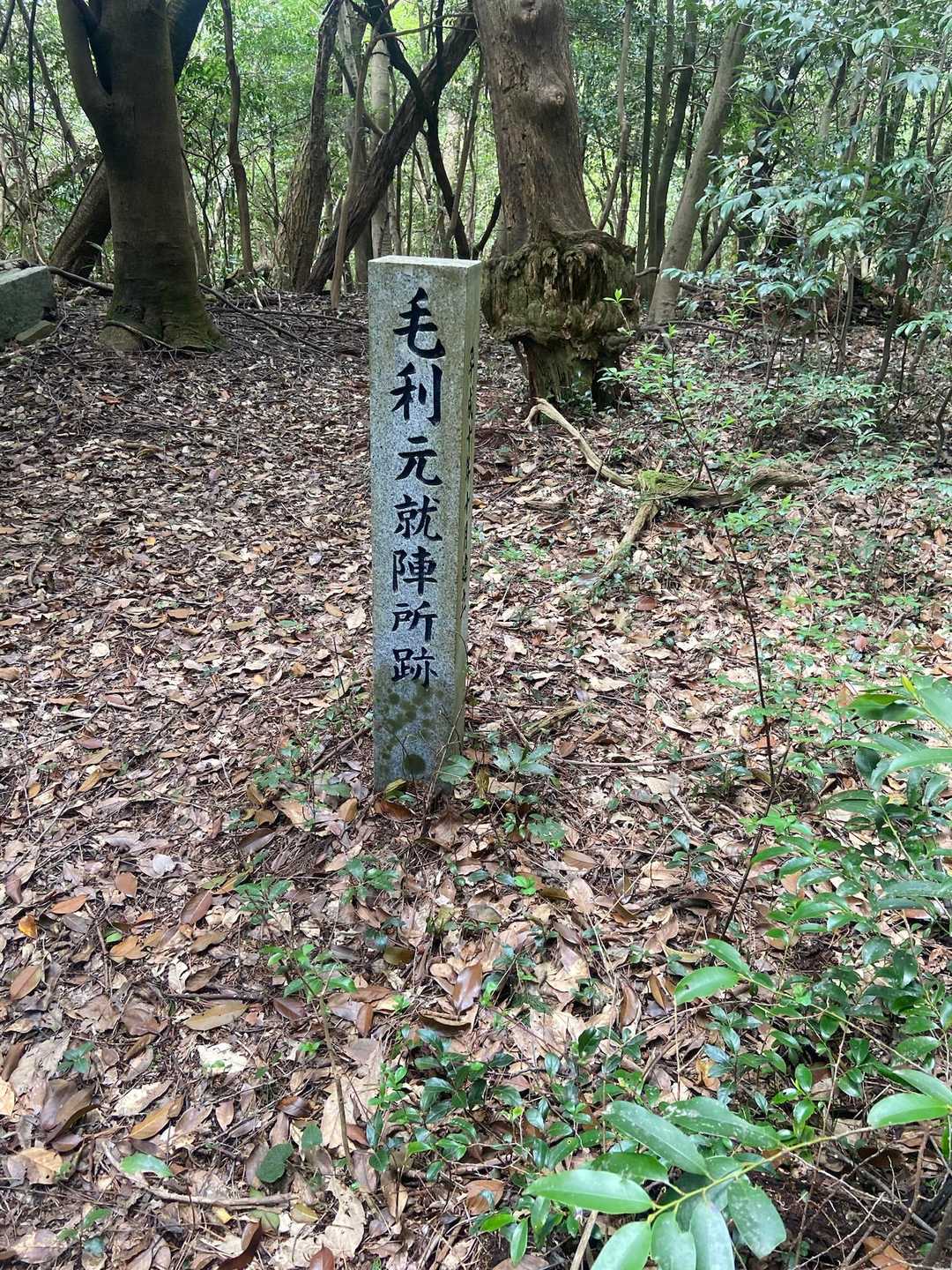 道徳山-緑山 周回コースの写真