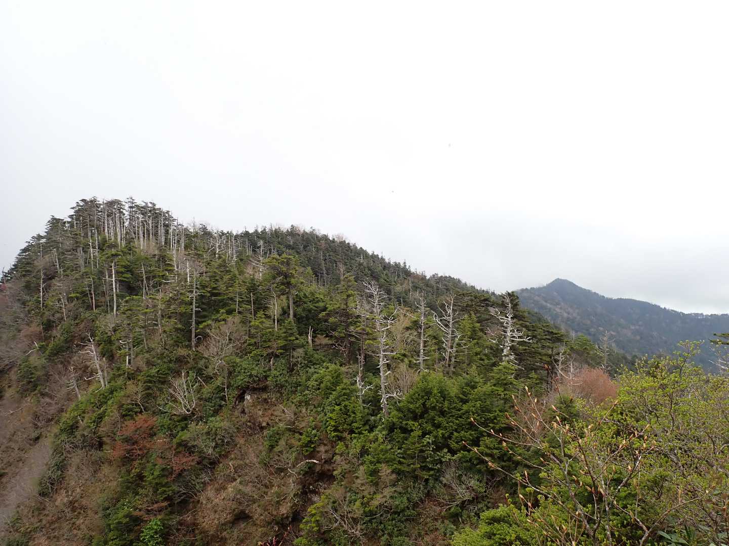 最高地点への登り返しで振り返ると奥袈裟丸山。
