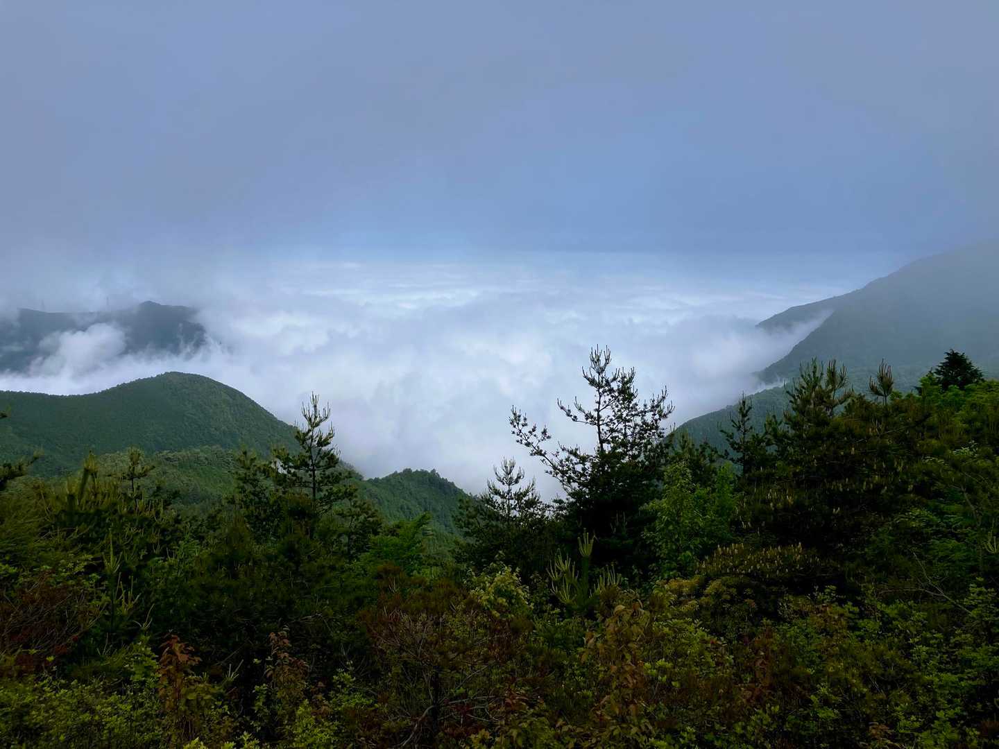 新居浜市は雲の下☁️