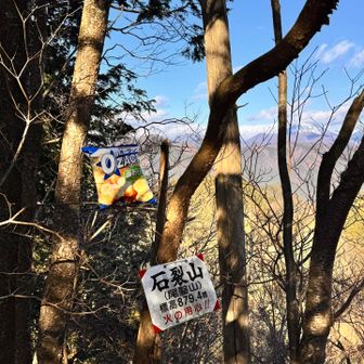 🍞が持ってきたのをみんなで撮影会