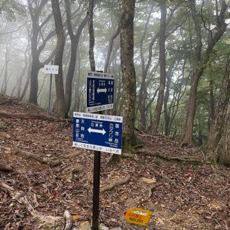 白瀬峠まで来ました