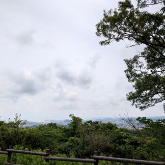 こちらも雲多め。