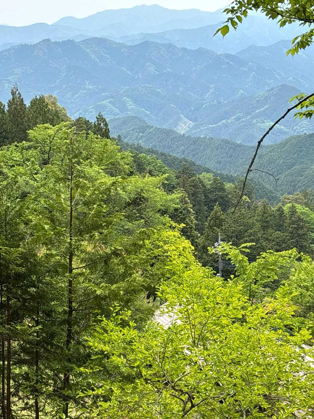 いい景色