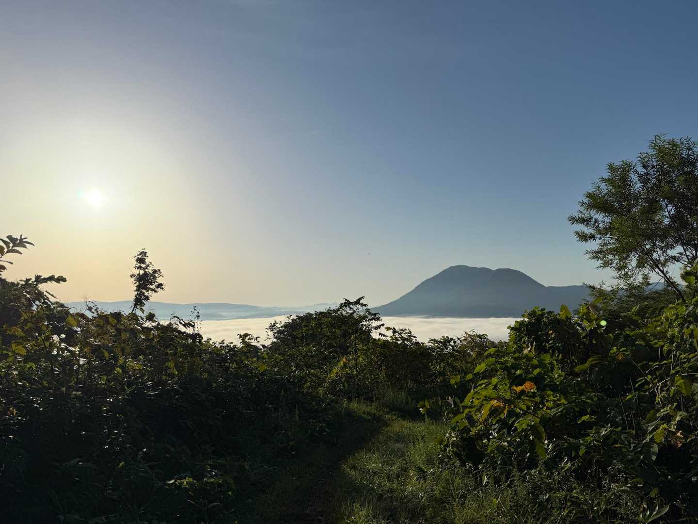 後ろ振り向くと綺麗に雲海😍