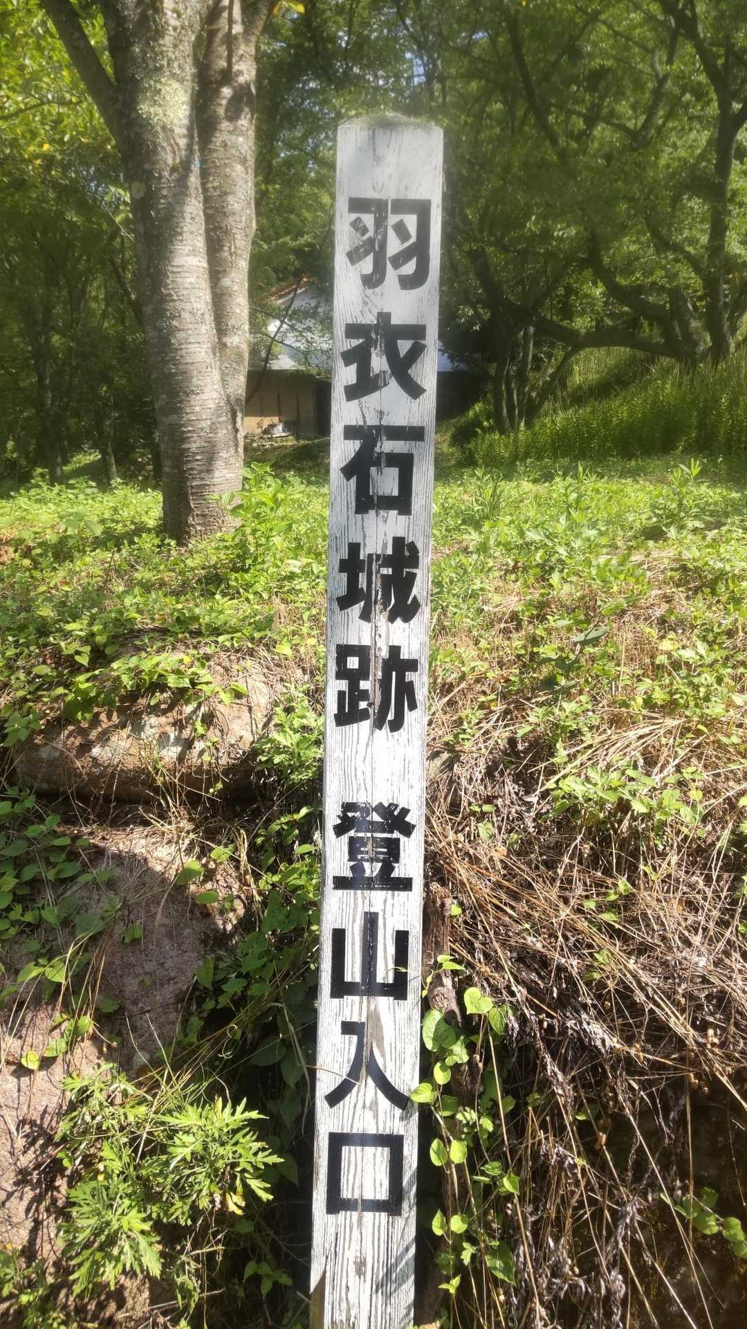 羽衣石山 往復コースの写真