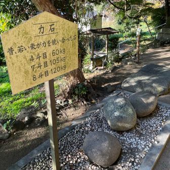 おっ、こんなもんあるやん🪨しかし、60kgですら全く持ち上がらなかった💦無理はしません😅💦💦