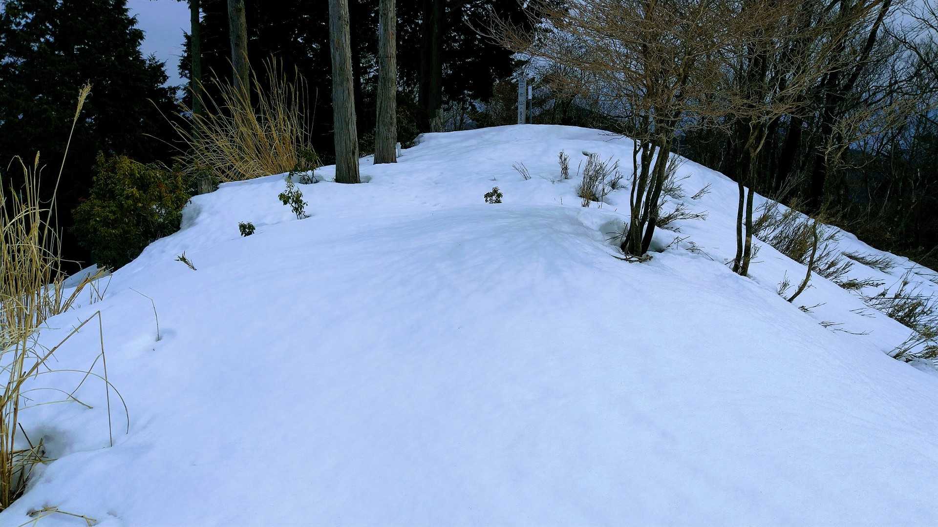 フワフワの雪🤩気持ちいいぞ～😆