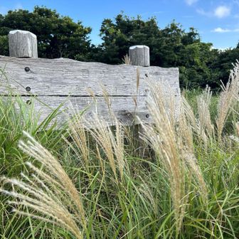 番山⛰️山頂🙌

看板の字も消えてるし、草木が生い茂っていて展望はほとんどなし😢
ここが島山百選なのは解せぬなあ｡｡｡💧