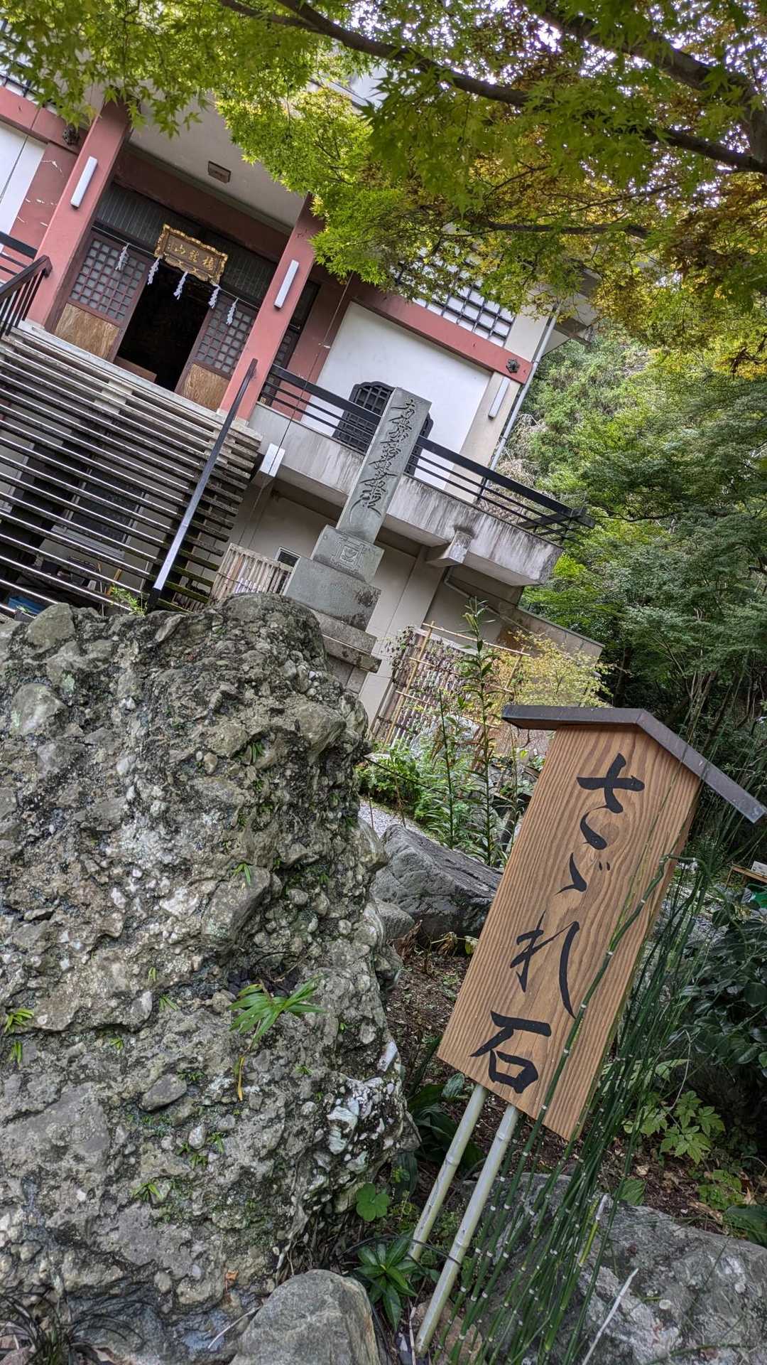 こちら本経寺さんのお庭の🅿️でした