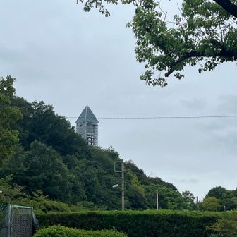 ここまで来れば何度も歩いた道で安心☺️