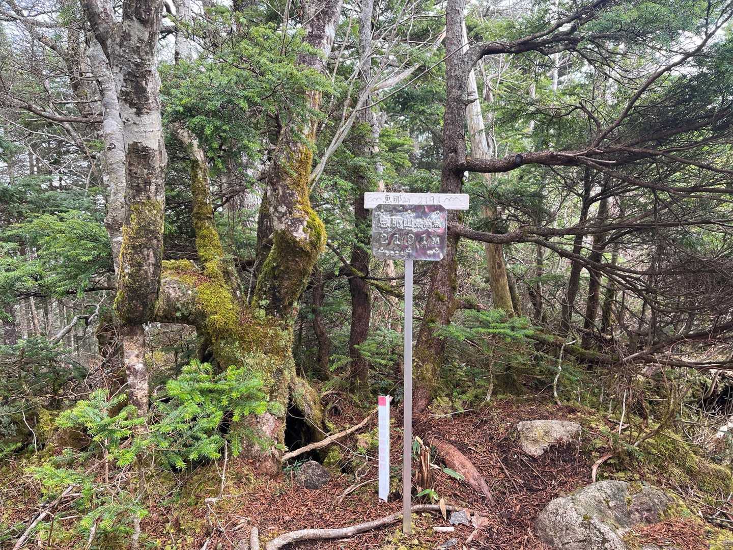 こちらが本当の山頂らしい