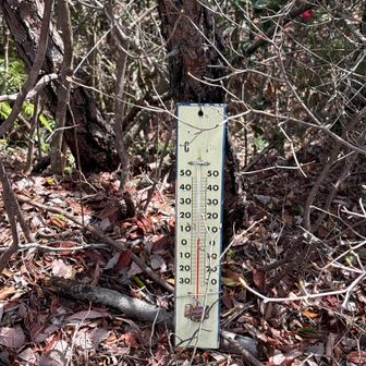 頂上に温度計。今は風が冷たく５℃