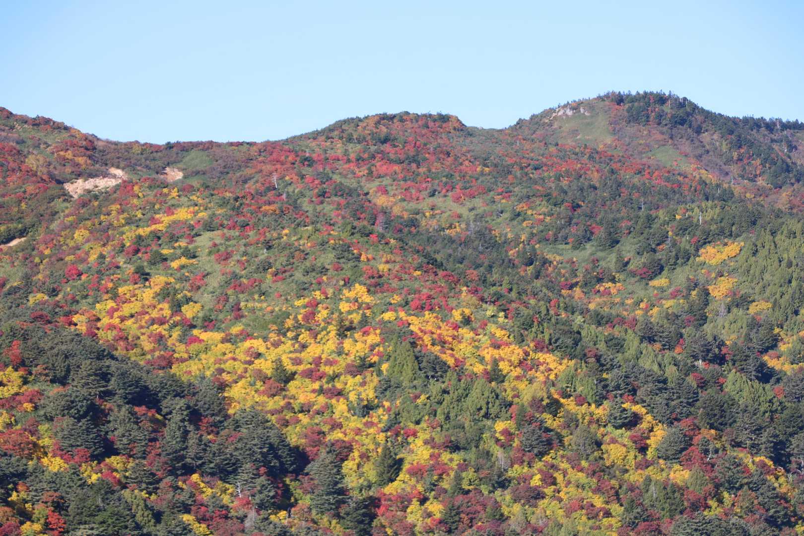 中天狗-駱駝山-一切経山 周回コースの写真