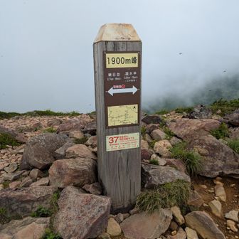 山の名前つけてあげればいいのに