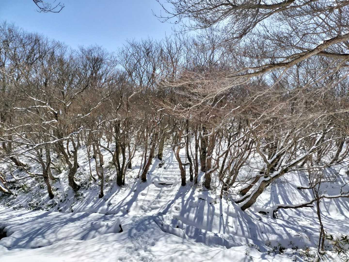  御在所ロープウェイ 山上公園駅-御在所岳 往復コースの写真