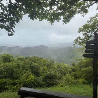 第三展望台

雨脚が強くなってきて、また雨宿り。視界が開けていてベンチがありました。標識に富士山とあったので、天気がよいと見えるのかもしれません。