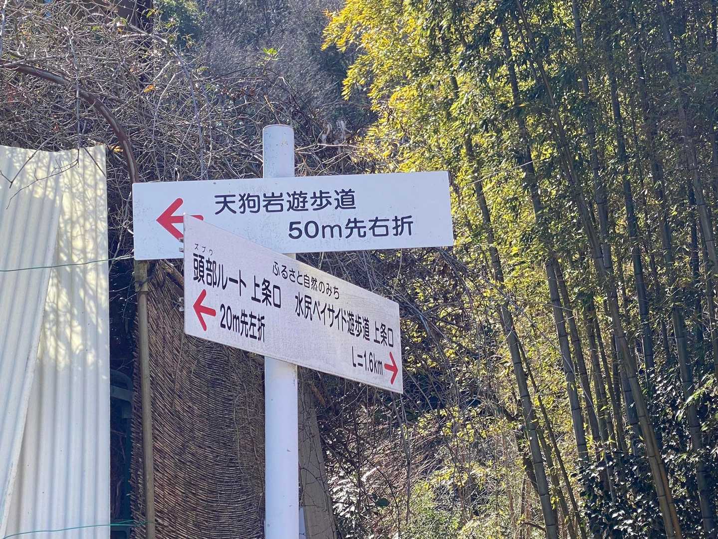 坂駅-せんこう頭部-天狗岩 往復コースの写真