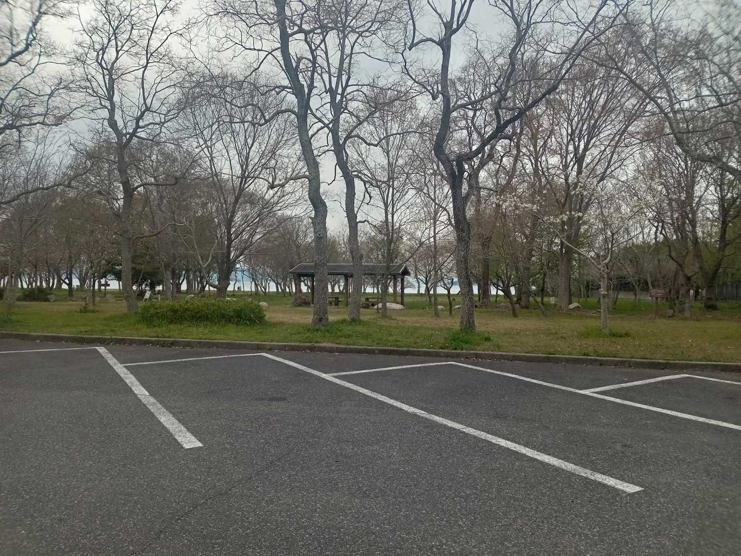 湖岸緑地岡山園地駐車場(無料)スタート