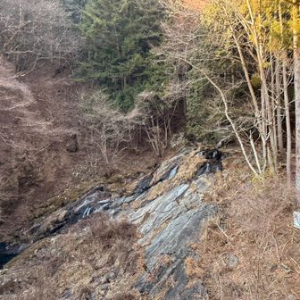 確かに滑らかで優美な感じ。