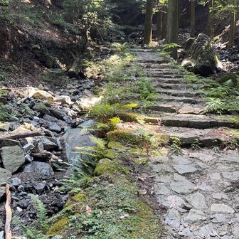 石畳は嫌いです。滑るからです。