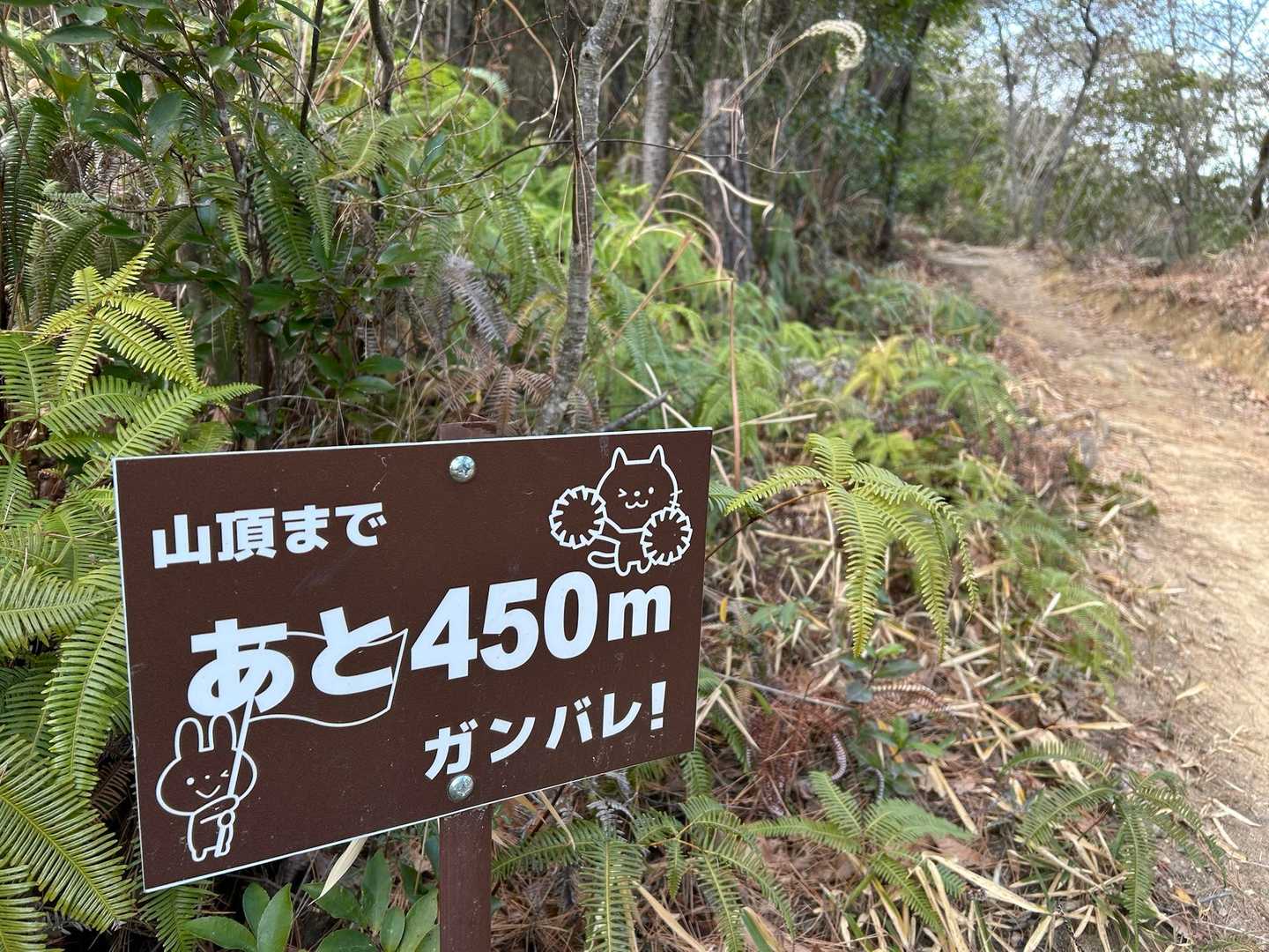 ねこさん、うさぎさんの励ましが沁みます💕