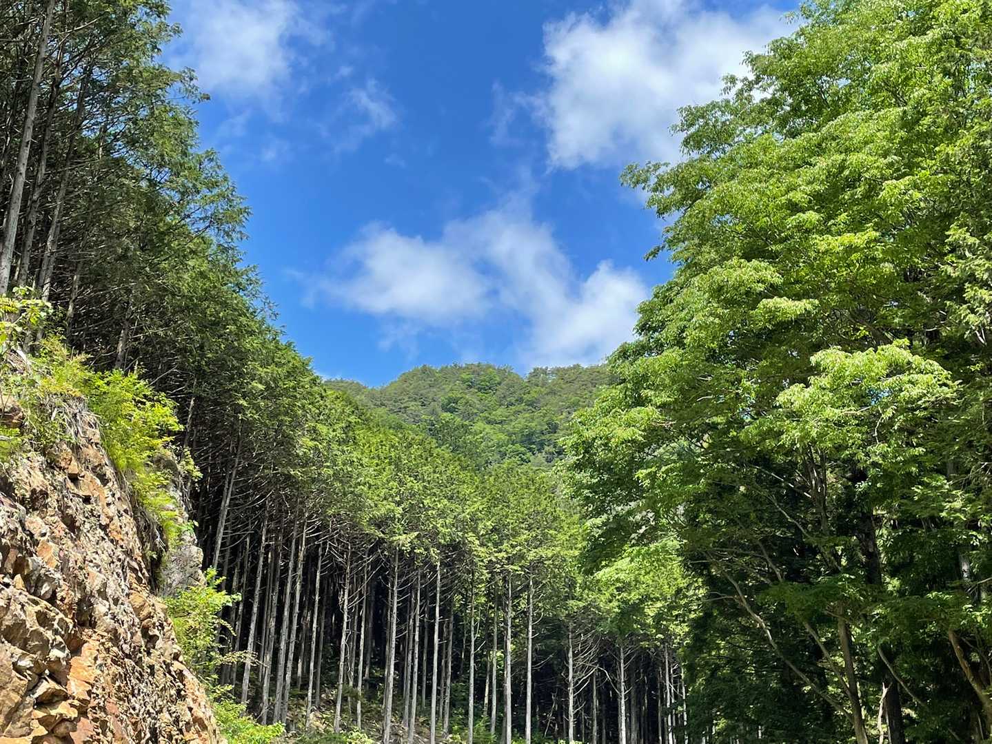 南コース登山口-東登山口-南登山道入口 往復コースの写真