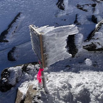 巨大なエビフライのしっぽ