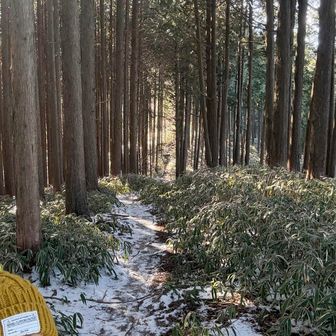 この辺りが1番雪だったかな❄️