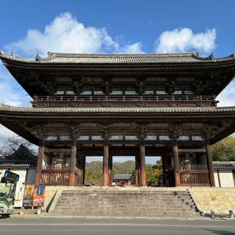 仁和寺にとうちゃこ