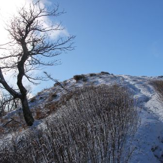 振り返ってホッケ山。