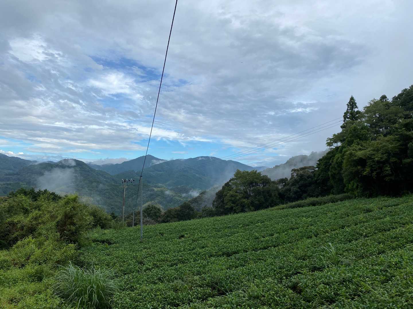 鳥帽子形山 往復コースの写真