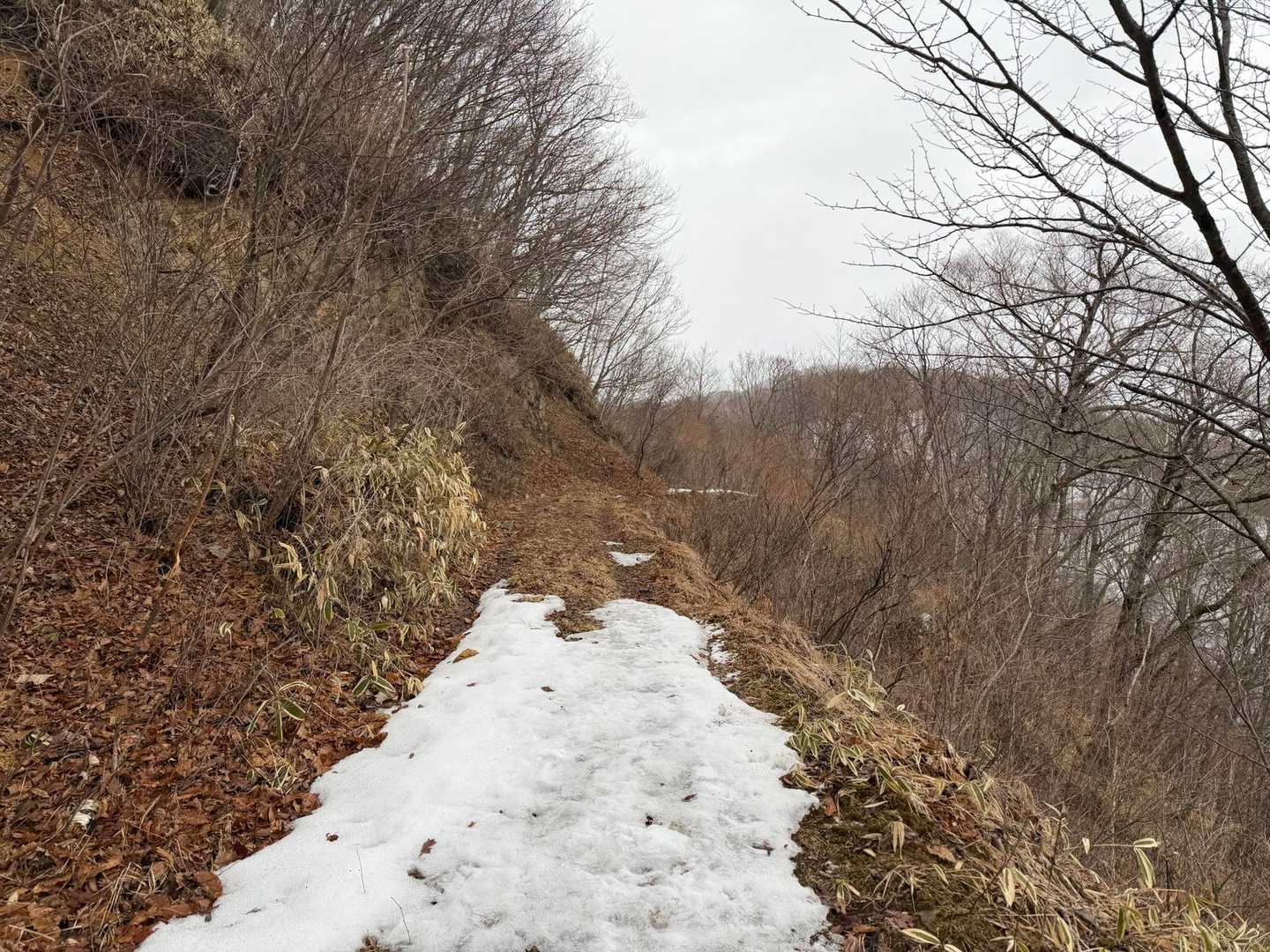 林道歩き...🚶‍♂️‍➡️スタート後に雪がない所も...