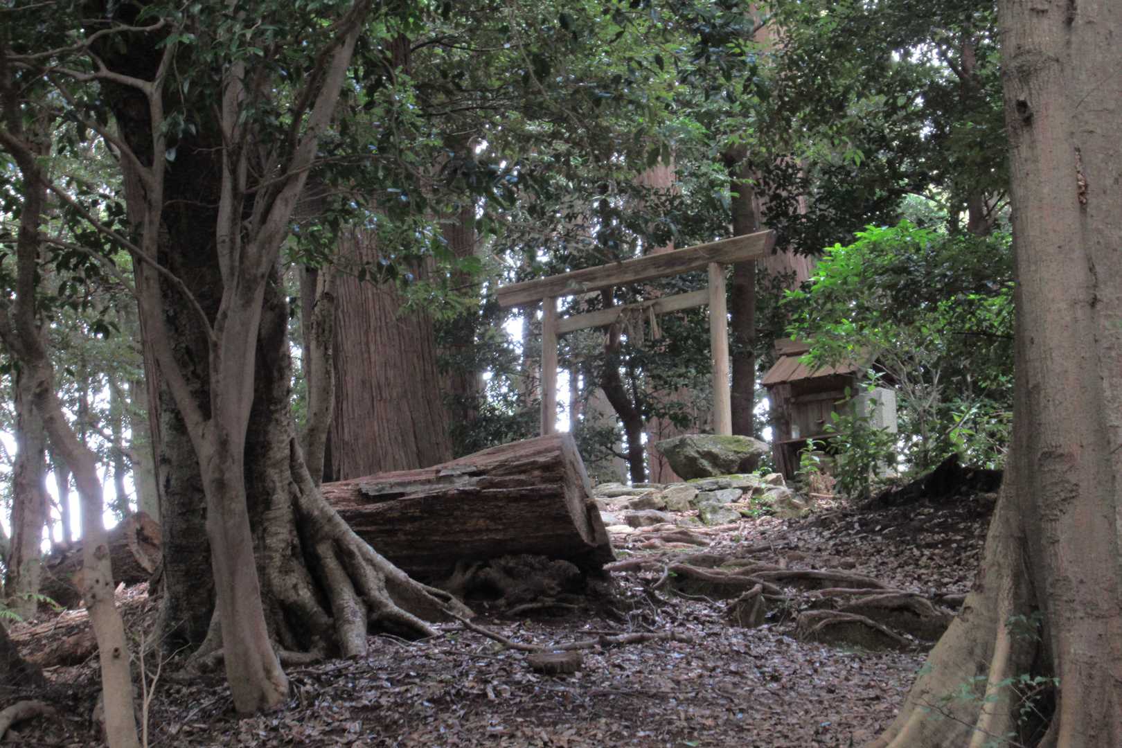 今日も朝熊山神社にお礼をして帰ります。
最後までお付き合いありがとうございました。m(_ _)m