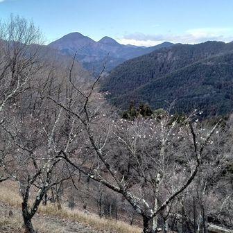 ここからも東西の御荷鉾山