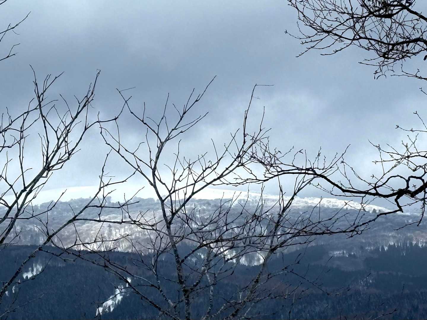 下山途中、木々の隙間から見えた氷ノ山🏔️
今日・明日、たくさんの方が登られるのでしょうね、羨ましいなぁ〜行きたいなぁ〜🥹
神様、私に体力と勇気をください🙏