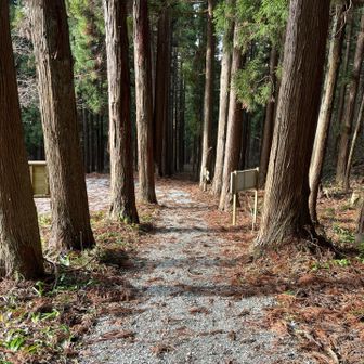 今年も沢山登って楽しかったなぁ。

YAMAPさん作成の2025年の振り返りを見ると…2024年に続き99座😳
2年連続で計らずも99座とは🤣🤣

来年もよろしくお願いします🙇

おつかれ山でした⛰️

良い新年をお迎えください！
