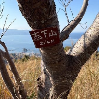 志下山登頂。登山道上にある木に標識が付いていました。山頂感が全く無い…