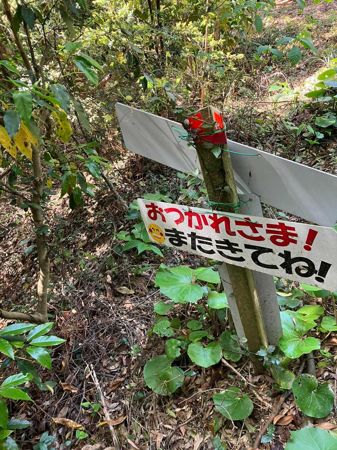 下山しました