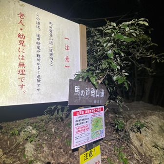 久しぶりの馬の背🐴　
