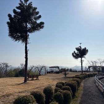 ミッションコンプリート
素晴らしい雲海見れて、ラッキーでした。
