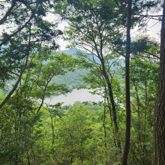 木々の間から千丈寺湖