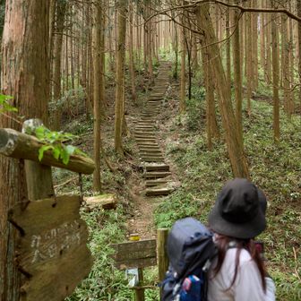 久留野峠
階段段差たかめ😲