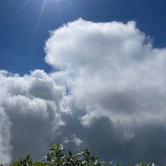 南側から厚めの雲が。
ちなみに私はかなりな方向音痴なので方向に自信はありません！