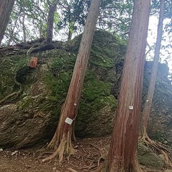 登る時間はあるけど、
今日は先に行きます😊