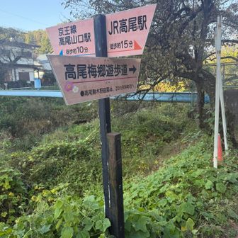 遊歩道へ